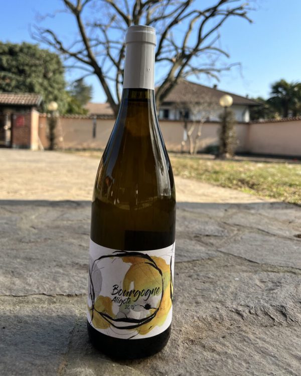 vino Vini bianchi BOURGOGNE ALIGOTÉ 2018 - DOMAINE DIDON