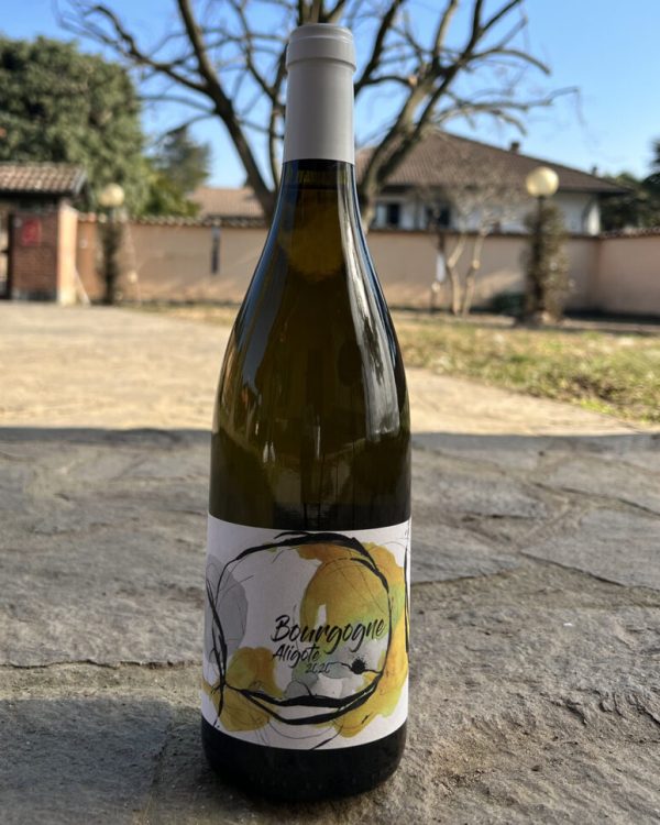 vino Vini bianchi BOURGOGNE ALIGOTÉ 2020 - DOMAINE DIDON