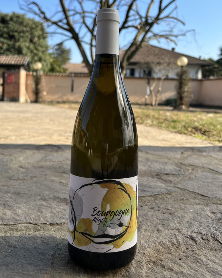 vino Vini bianchi BOURGOGNE ALIGOTÉ 2020 - DOMAINE DIDON