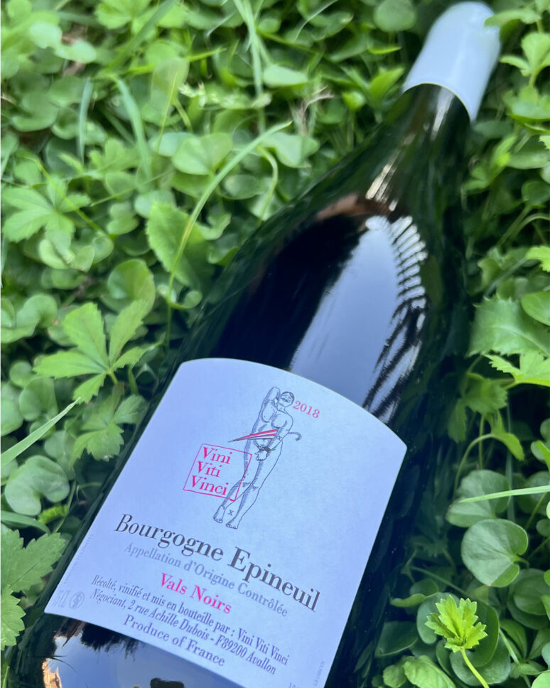 vino Vini rossi BOURGOGNE EPINUIL VALS NOIR 2018 - VINI VITI VINCI