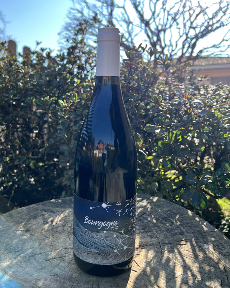 vino Vini rossi BOURGOGNE ROUGE 2020 - DOMAINE DIDON