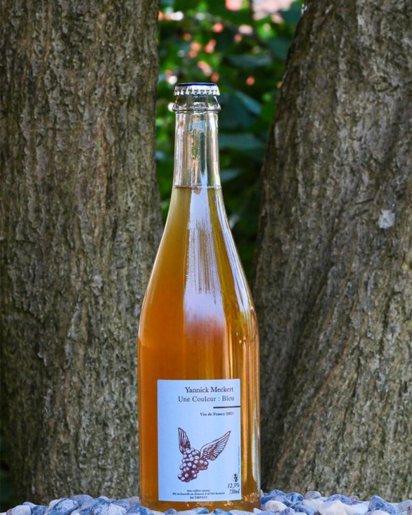 vino Rifermentati UNE COULEUR : BLEU 2021 - YANNICK MECKERT