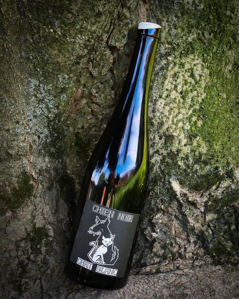 vino Rosati CHIEN NOIR CHAT BLANC 2021 - DOMAINE IN BLACK