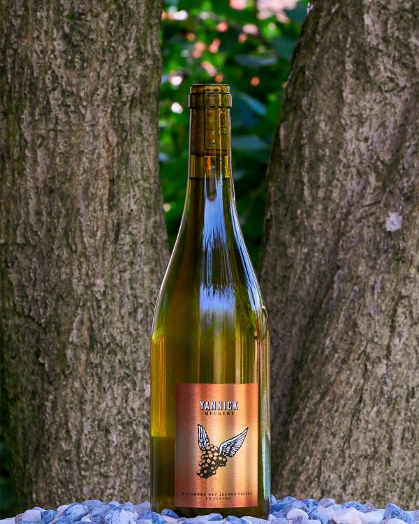 vino Vini bianchi À L'OMBRE DES JEUNES VIGNES EN FLEURS 2021 - YANNICK MECKERT