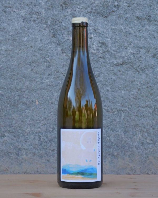 vino Vini bianchi BOURGOGNE ALIGOTÉ 2021 - LA CHAUME DES LIES
