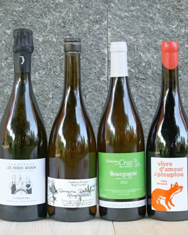 vino Champagne UNA DOMENICA AL TOP! V.18 - LES FRÉRES MIGNON, DOMAINE DANDELION, MARC SOYARD – DOMAINE DE LA CRAS, TONY BORNARD
