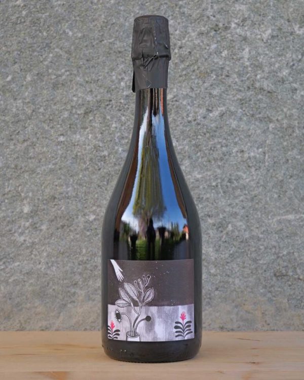 vino Spumanti A CARLA 2021 - GIANLUCA BERGIANTI